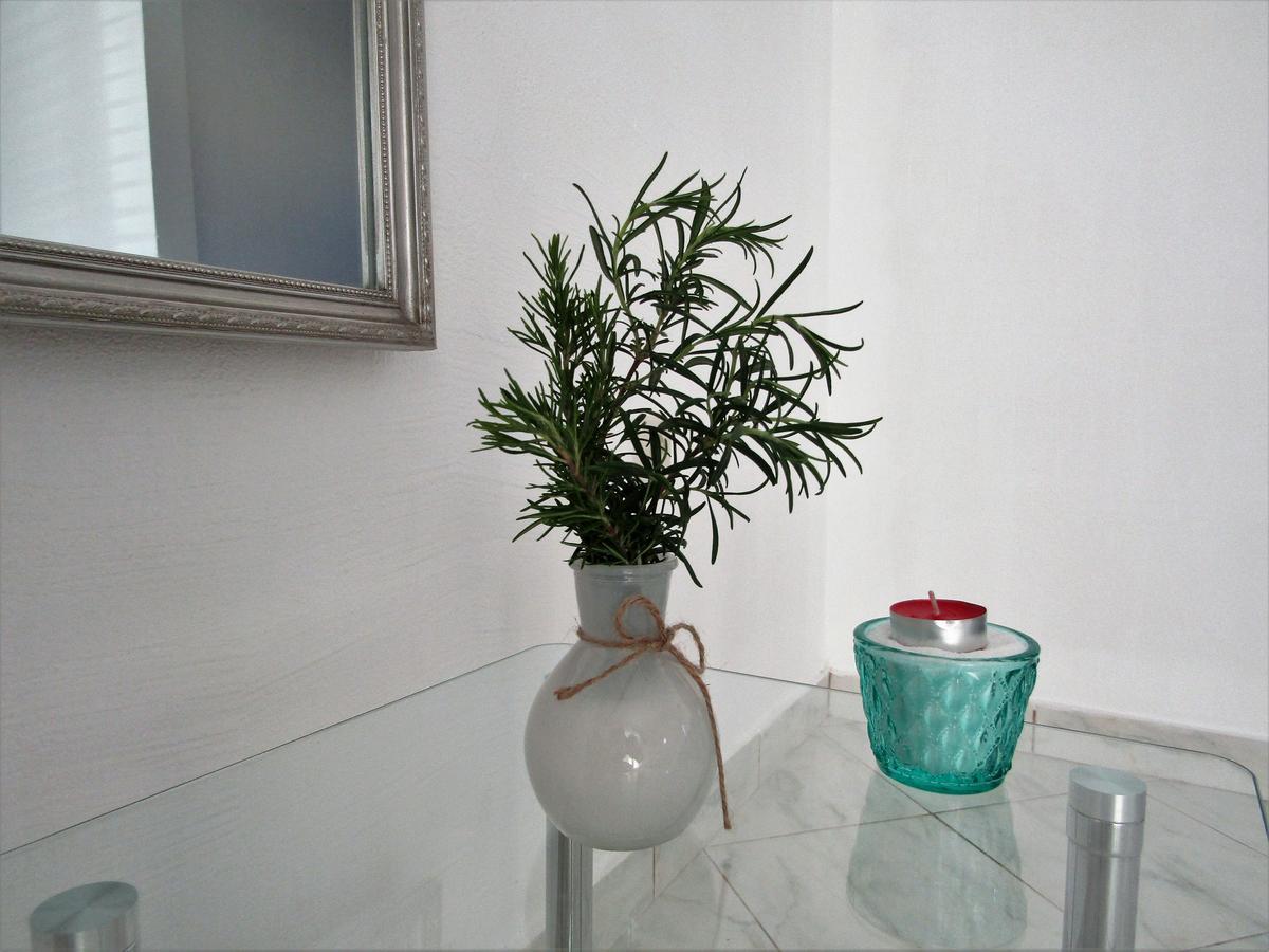Apartments Kokor Vodice Zewnętrze zdjęcie